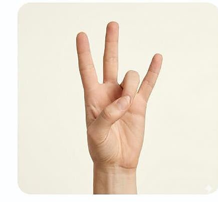 Prithvi Mudra